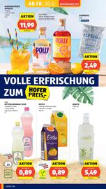 Hofer Flugblatt woche 25 Seite 14