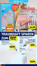 Hofer Flugblatt woche 25 Seite 32