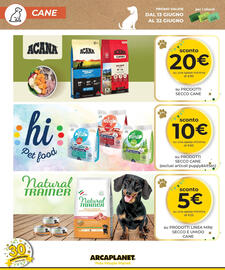 Volantino Arcaplanet Pagina 6