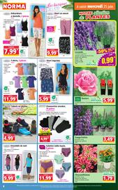 Catalogue Norma semaine 25 page 4