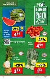 Catalog Lidl săptămâna 26 Pagină 10