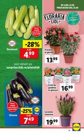 Catalog Lidl săptămâna 26 Pagină 11