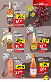 Catalog Lidl săptămâna 26 Pagină 21