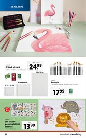 Catalog Lidl săptămâna 26 Pagină 62