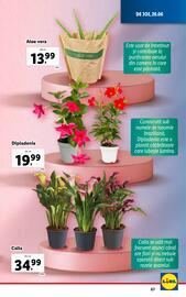 Catalog Lidl săptămâna 26 Pagină 67
