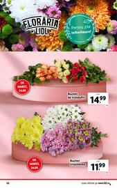 Catalog Lidl săptămâna 26 Pagină 68