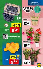 Catalog Lidl săptămâna 26 Pagină 79