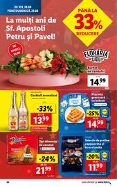 Catalog Lidl săptămâna 26 Pagină 84