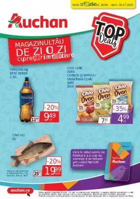 Catalog Auchan