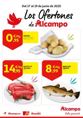 Folleto Alcampo (válido hasta el 19-06)