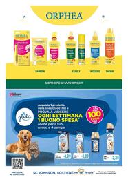 Volantino Famila Superstore Pagina 13