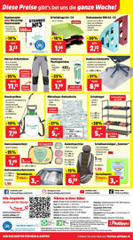 Thomas Philipps Flugblatt woche 26 Seite 8