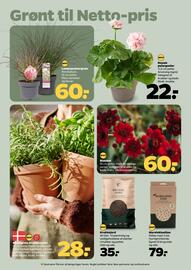 Netto tilbudsavis uge 25 Side 31