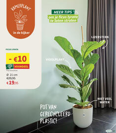 Horta folder Pagina 17