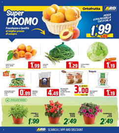 Volantino Ard Discount Pagina 2