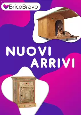 Volantino Brico Bravo (valido fino al 20-07)