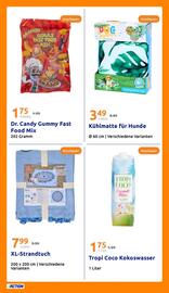 Action Flugblatt woche 25 Seite 23