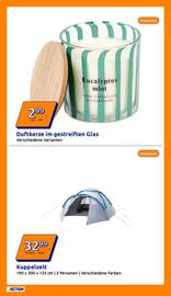 Action Flugblatt woche 25 Seite 8
