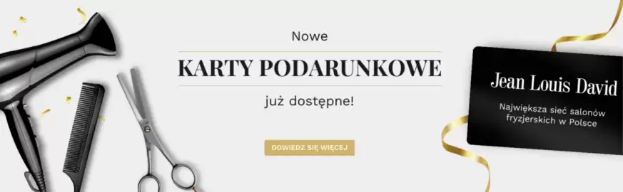 JEAN LOUIS DAVID gazetka Strona 1