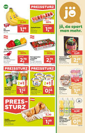 ADEG Flugblatt woche 25 Seite 5