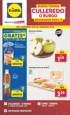 Folleto Lidl (válido hasta el 22-06)