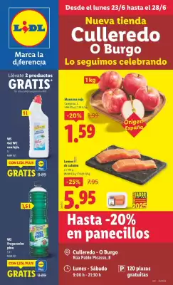 Folleto Lidl (válido hasta el 29-06)