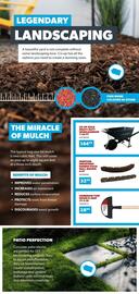 Co-op flyer Page 6