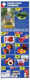 Dominion flyer Page 11