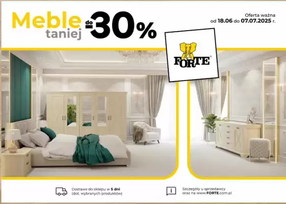 Forte Meble gazetka (ważność do 7-07)