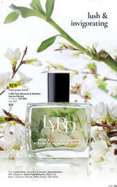 Avon Weekly Ad Page 66