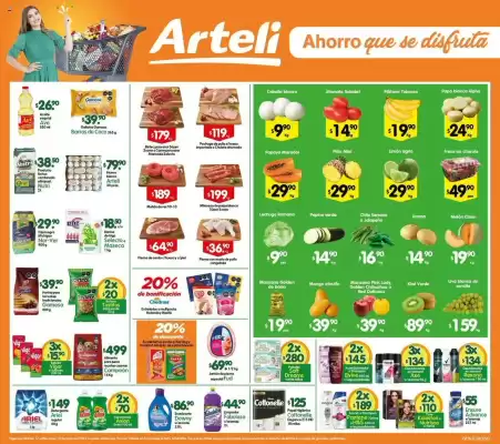 Catálogo Arteli (válido hasta 19-06)