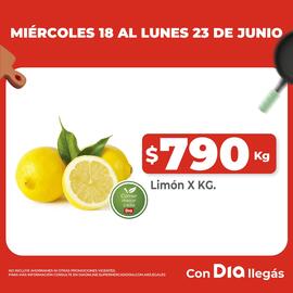 Catálogo Supermercados DIA semana 25 Página 3