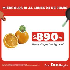 Catálogo Supermercados DIA semana 25 Página 4