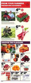 Zehrs Markets flyer week 25 Page 11