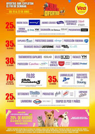 Catálogo Supermercados Vea Página 6