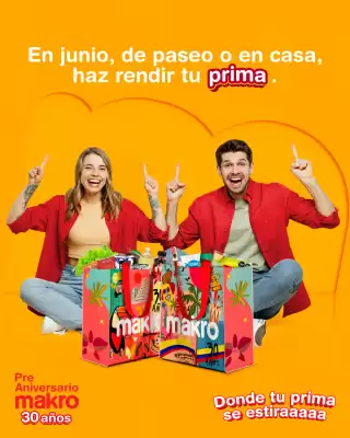 Catálogo Makro (válido hasta 22-06)