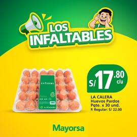 Catálogo Mayorsa Página 4