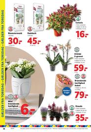 Lidl tilbudsavis uge 26 Side 38