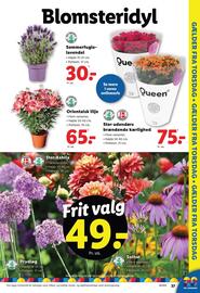 Lidl tilbudsavis uge 26 Side 39