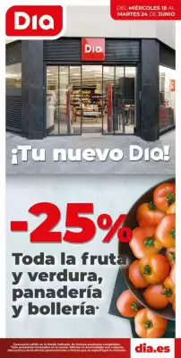 Folleto Dia (válido hasta el 24-06)