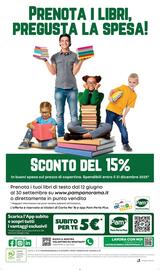 Volantino Pam settimana 25 Pagina 16