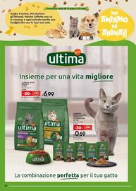 Volantino Bennet Pagina 30