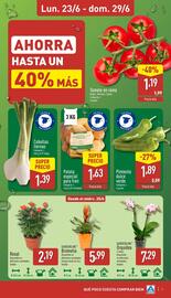 Folleto ALDI semana 26 Página 3