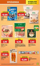 Lidl gazetka Strona 45