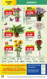 Lidl gazetka Strona 50