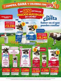 Catálogo Ara semana 25 Página 4