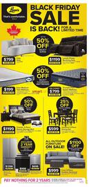Leon's flyer Page 1
