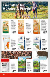 Hellweg Flugblatt woche 25 Seite 18