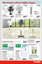 Hellweg Flugblatt woche 25 Seite 7