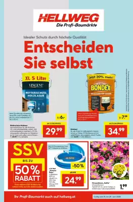 Hellweg Flugblatt (gültig bis 25-06)